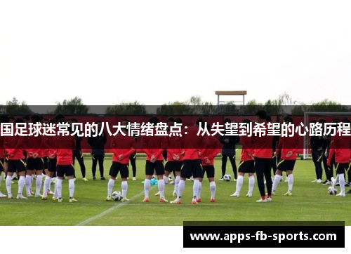 国足球迷常见的八大情绪盘点：从失望到希望的心路历程