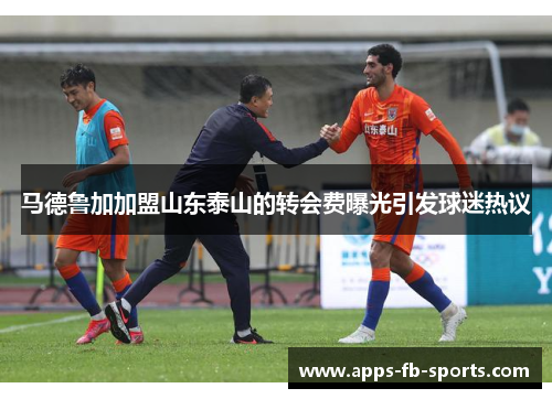 马德鲁加加盟山东泰山的转会费曝光引发球迷热议